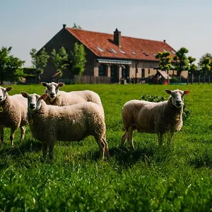 Hoevehotel Ter Haeghe Gistel